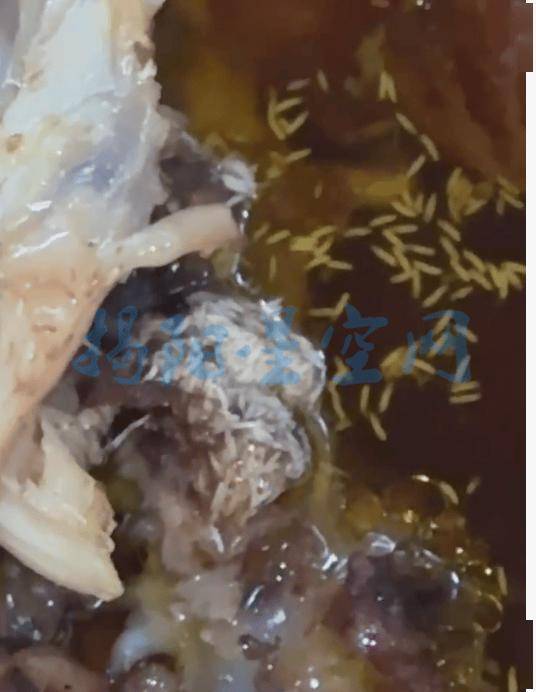 家乐乐窑鸡惊现大量蛆虫场面令人作呕开元棋牌app头皮发麻！潮汕某农